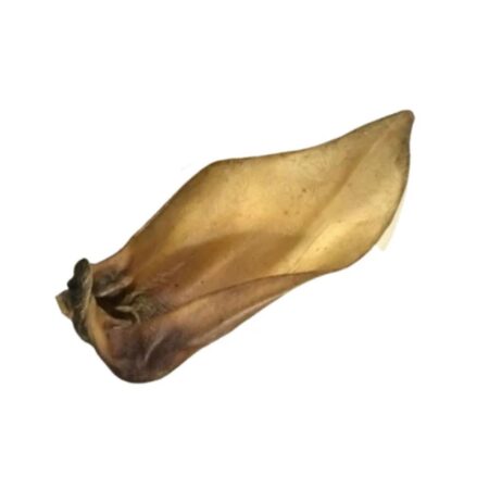 Buffalo Ears XL