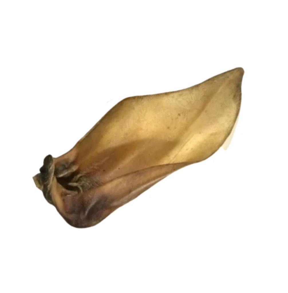 Buffalo Ears XL