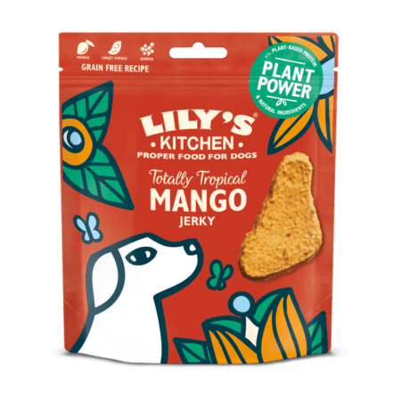 Mango Jerky