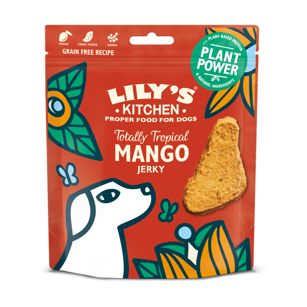 Mango Jerky