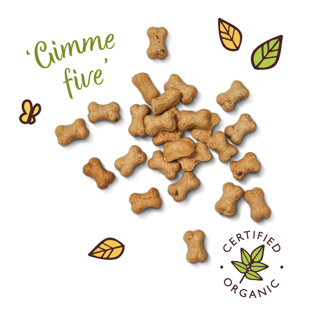 Organic Cheese and Apple Training Treats - Image 2