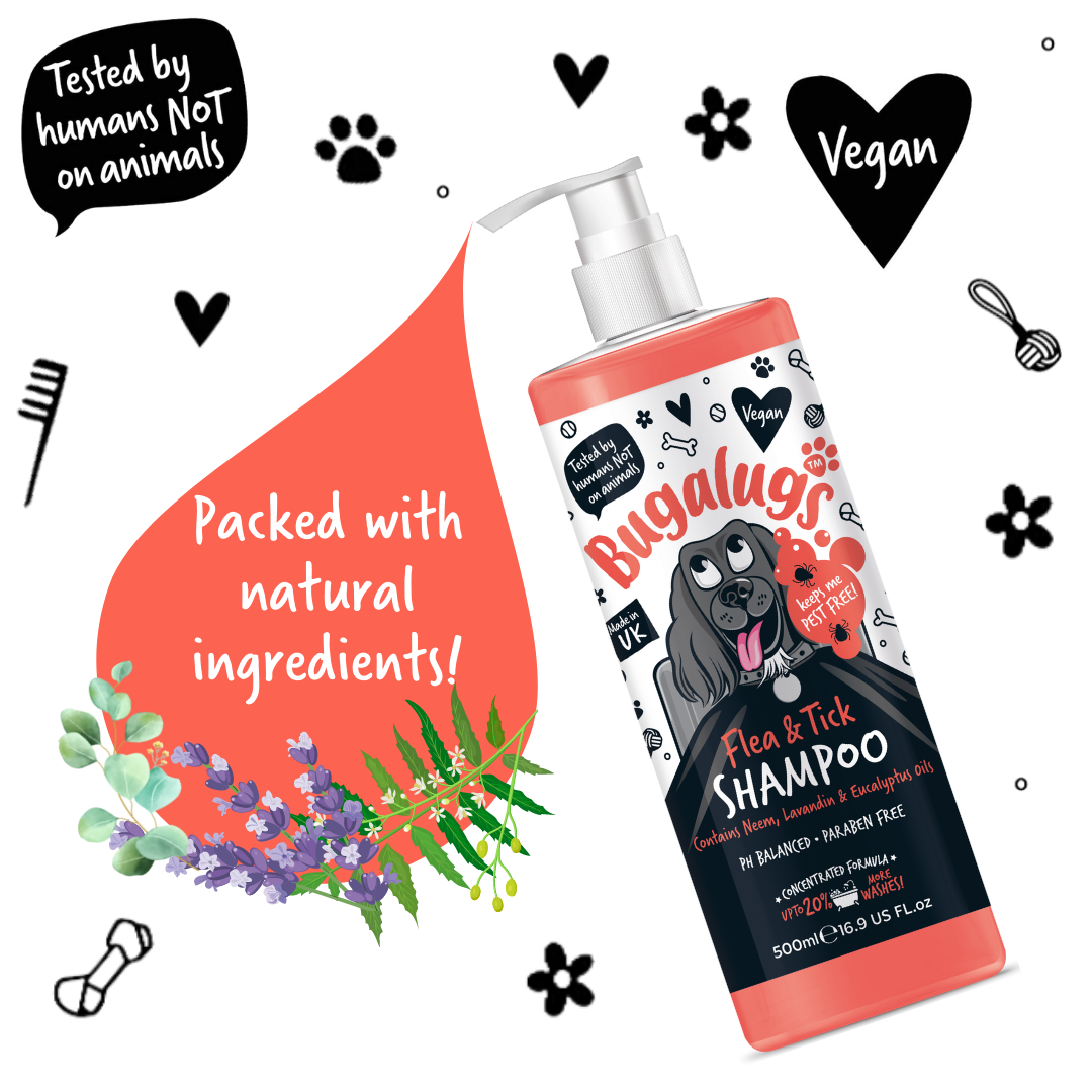 Flea & Tick Shampoo - Image 2