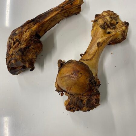 Jurassic bones