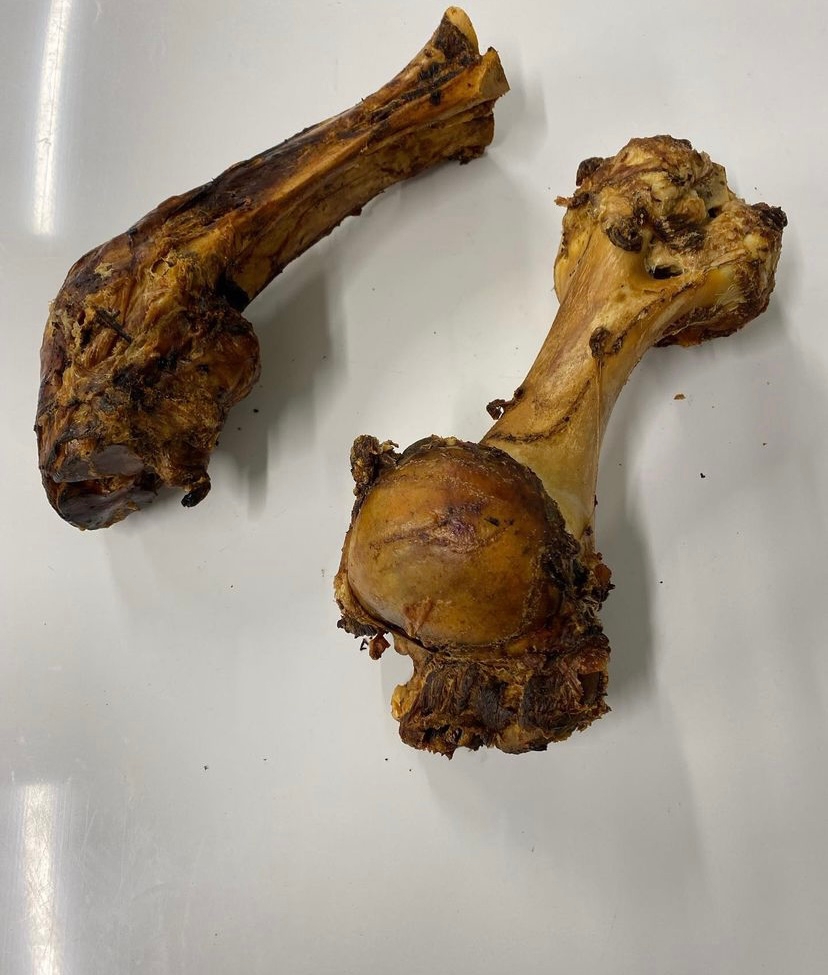 Jurassic bones