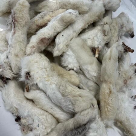 Rabbit Feet