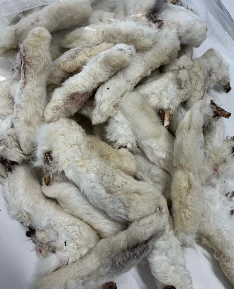 Rabbit Feet