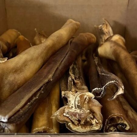 Large Junior Bully Sticks