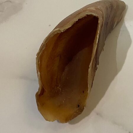 Empty Hooves
