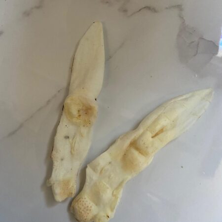 Puffed Natural Rabbit Ears