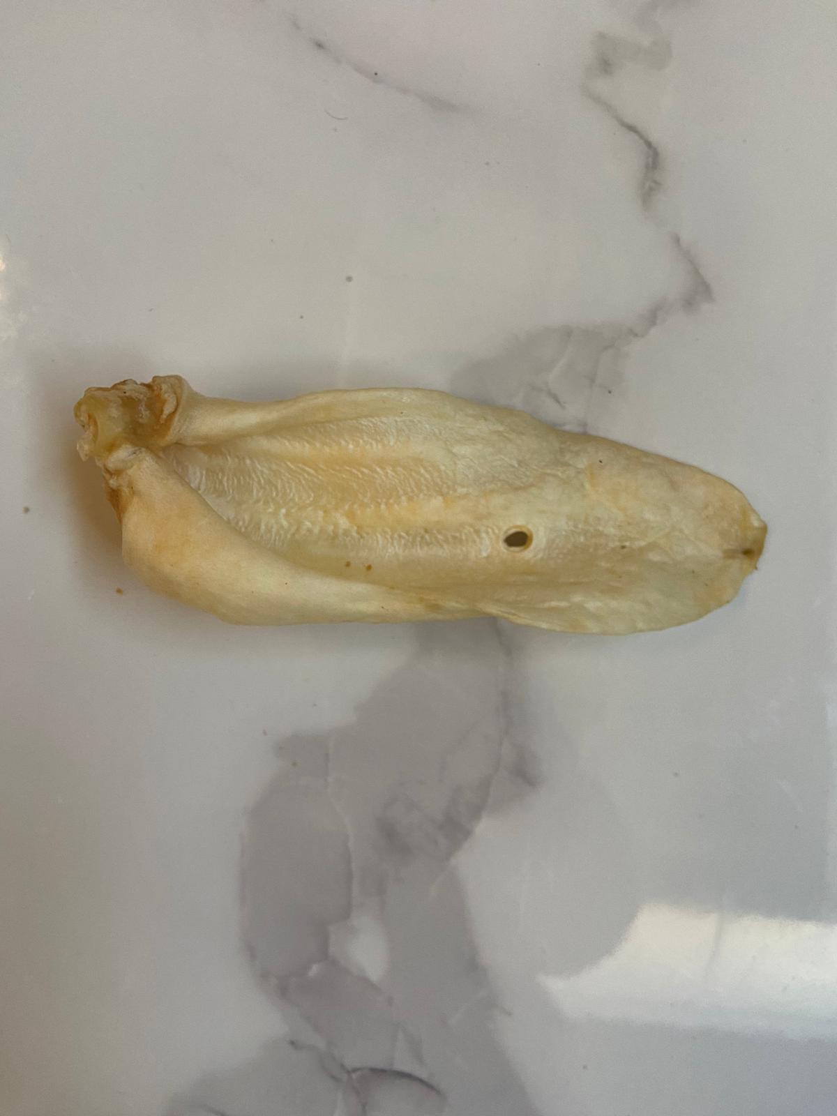 Puffed Goat Ear
