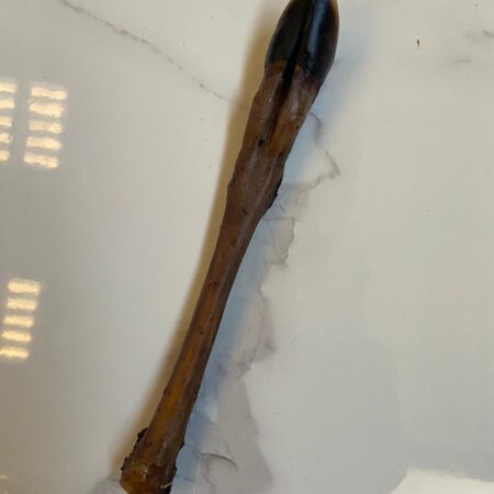 Deer Leg without Fur