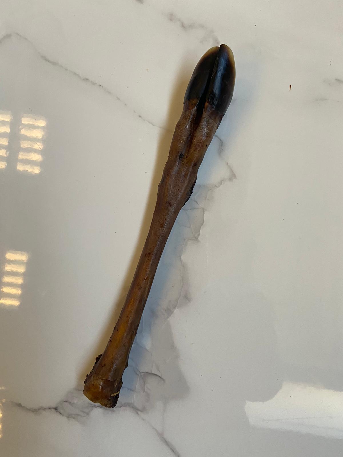 Deer Leg without Fur