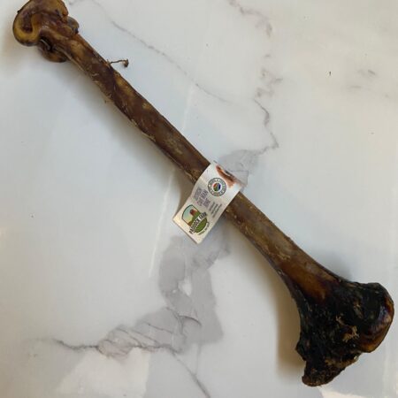 Ostrich Cave Man Bone
