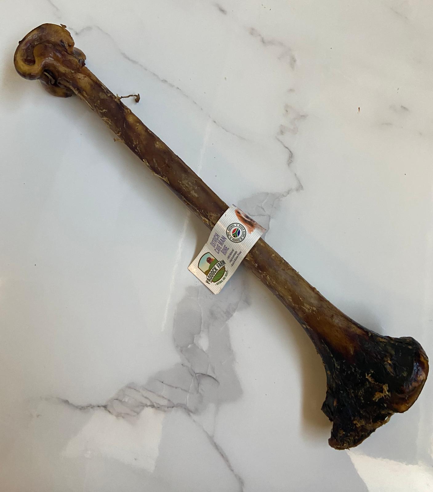 Ostrich Cave Man Bone