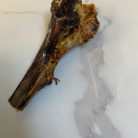 Large Ostrich Tiba Bone
