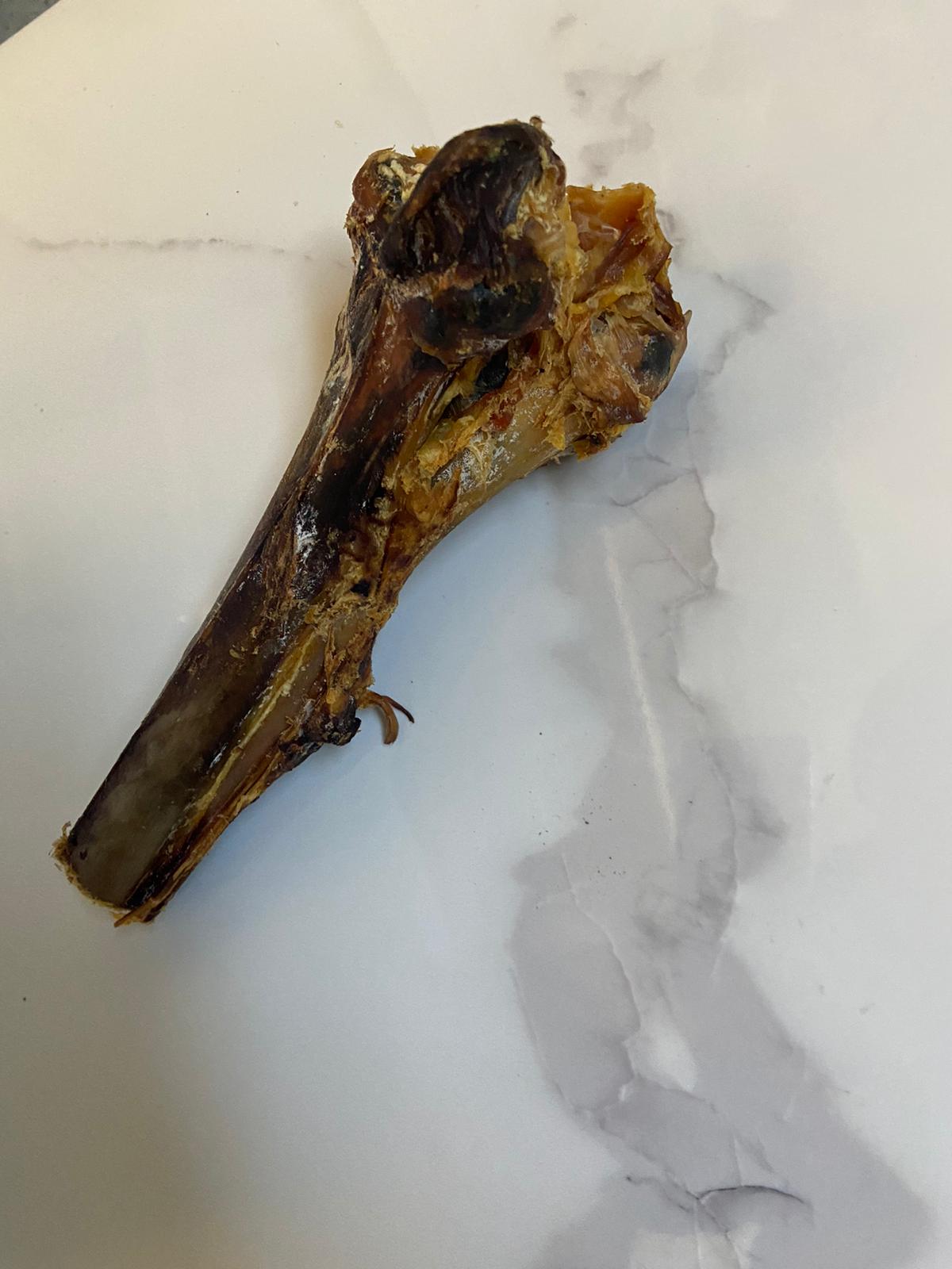 Large Ostrich Tiba Bone