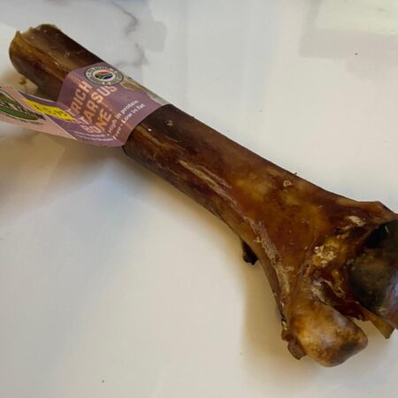 Ostrich Metatarsus Bone